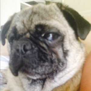 Meet your Posher, Nick