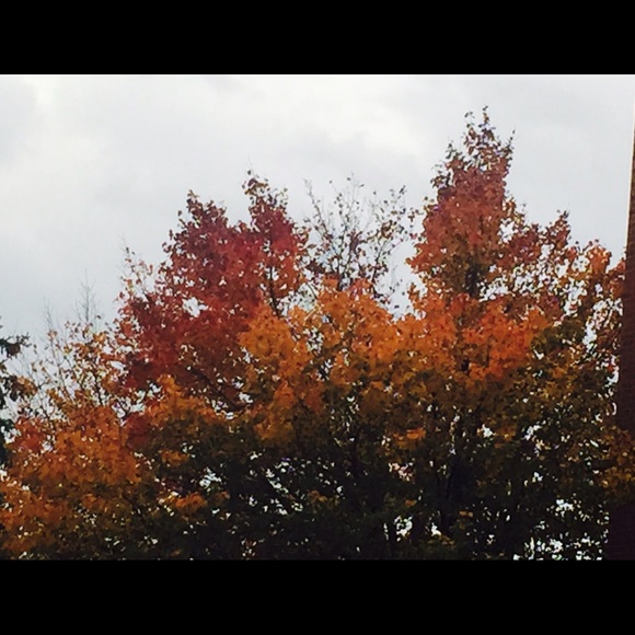 Meet your Posher, Dina