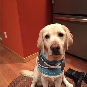 Meet your Posher, Ellie