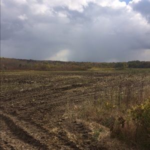 Meet your Posher, Timmy