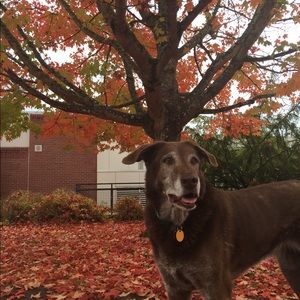 Meet your Posher, Wendy