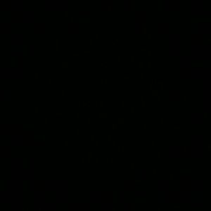 Meet your Posher, Walter