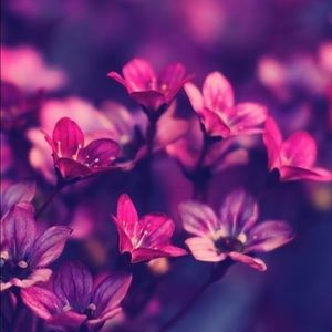 Meet your Posher, Katherine