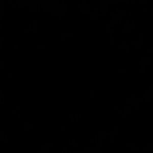 Meet your Posher, Shadee