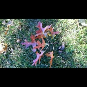 Meet your Posher, Sue