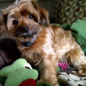 Meet your Posher, Stacey