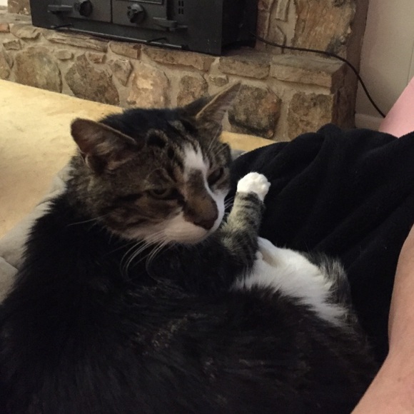 Meet your Posher, Kathy - Picture 1 of 1