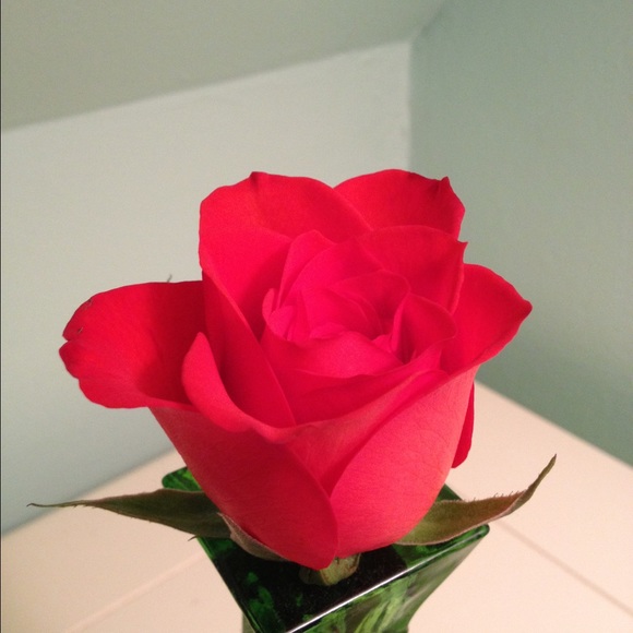 Meet your Posher, Addie