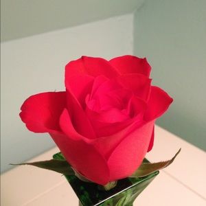 Meet your Posher, Addie