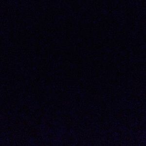 Meet your Posher, Dahlia