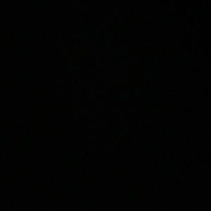 Meet your Posher, Wendi