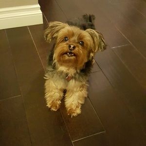 Meet your Posher, Kelsey