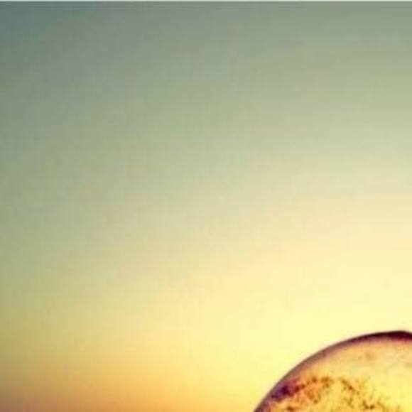 Meet your Posher, Trevor