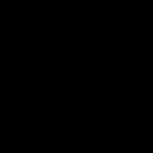 Meet your Posher, Rosiland