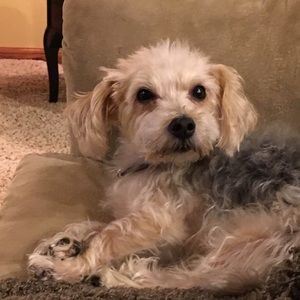 Meet your Posher, Karen