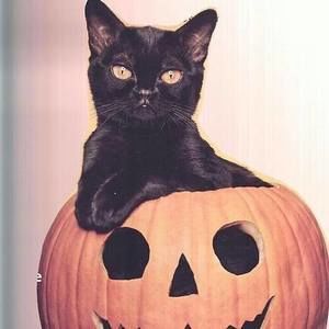 Meet your Posher, Abril