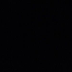 Meet your Posher, Reagan