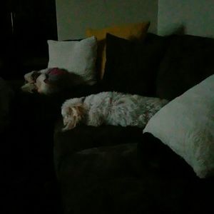 Meet your Posher, Marti