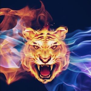 Meet your Posher, Gayle