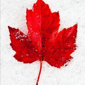 Meet your Posher, Steph