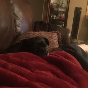 Meet your Posher, Gloria