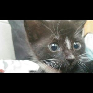 Meet your Posher, Alonna