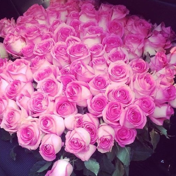 Meet your Posher, Rosie