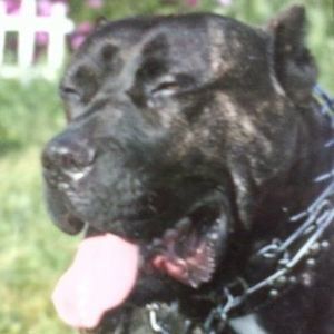 Meet your Posher, Bridgette