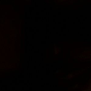 Meet your Posher, Shelly