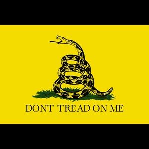 Meet your Posher, Tracie