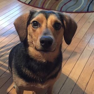 Meet your Posher, Nevaeh