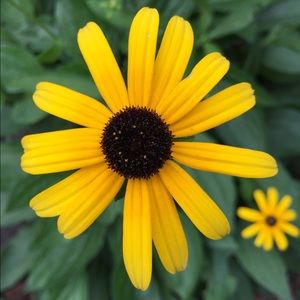 Meet your Posher, Carla