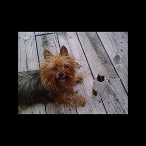 Meet your Posher, Michelle