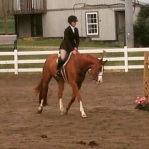 Meet your Posher, Tayler