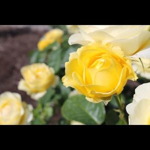 Meet your Posher, Hannah