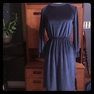 True Vintage velour blue/purple dress.