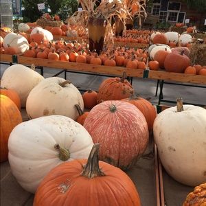 Meet your Posher, Nathalie