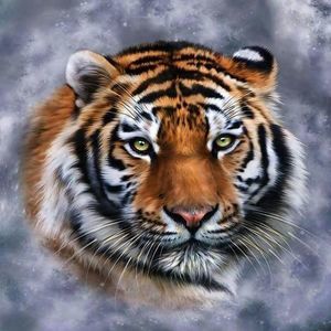 Meet your Posher, Cassandra