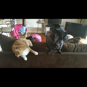 Meet your Posher, Tommi