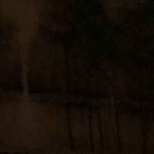 Meet your Posher, Greta