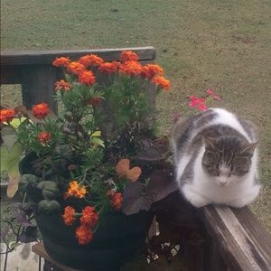 Meet your Posher, Gavin