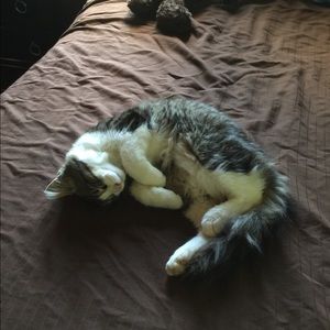 Meet your Posher, Mary