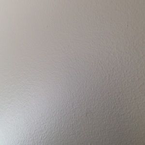 Meet your Posher, Anne