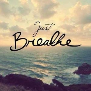 Meet your Posher, Paulette