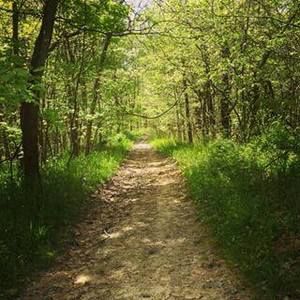 Meet your Posher, Witchy