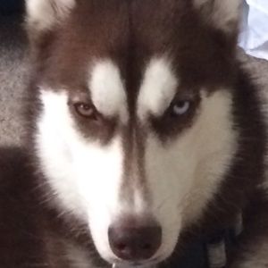 Meet your Posher, Melina