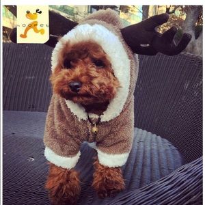 Meet your Posher, Maggie