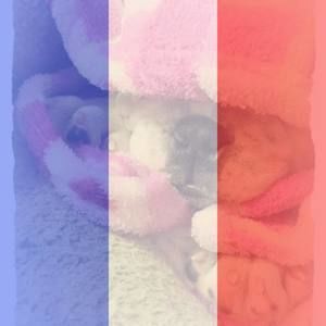 Meet your Posher, Lizette