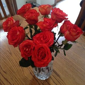 Meet your Posher, Diane