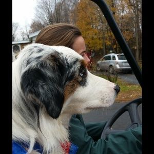 Meet your Posher, Shayla